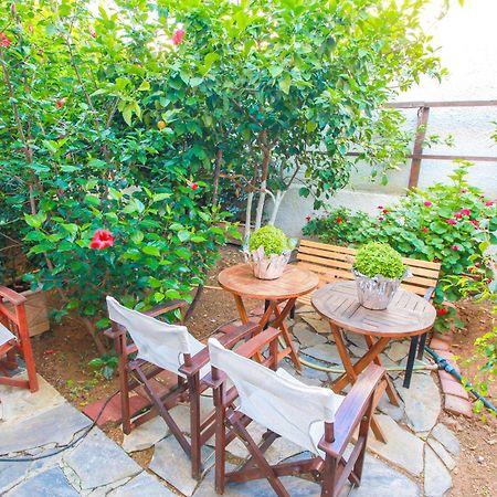 Kallisti Apartments Скиатос Номер фото